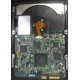 Электроника жёсткого диска 146Gb HP 481653-002 DF146BAFDU (Ступино)