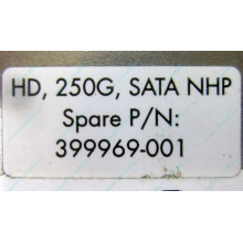 HP 250G 7.2k 432337-001/ 399699-001 / 397377-004 SATA HDD (Ступино)