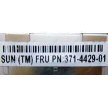 Серверная память SUN (FRU PN 371-4429-01) 4096Mb (4Gb) DDR3 ECC в Ступино, память для сервера SUN FRU P/N 371-4429-01 (Ступино)