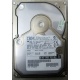 Жесткий диск 18.2Gb IBM Ultrastar DDYS-T18350 Ultra3 SCSI (Ступино)