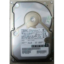 Жесткий диск 18.2Gb IBM Ultrastar DDYS-T18350 Ultra3 SCSI (Ступино)