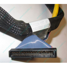 Кабель SCSI HP 166298-037 для HP ML370 G4 (Ступино)