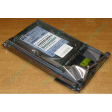 Жёсткий диск 146.8Gb HP 365695-008 404708-001 BD14689BB9 256716-B22 MAW3147NC 10000 rpm Ultra320 Wide SCSI купить в Ступино, цена (Ступино).