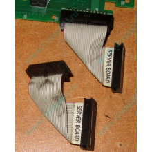 Шлейф 24pin 6017B0045701 для Intel C74974-401 T0043401-B01 (Ступино)