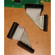 6017B0045701 Шлейф 24pin для Intel C74974-401 T0043401-B01 корпуса SR2400 (Ступино)