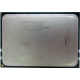 AMD Opteron 6128 OS6128WKT8EGO (Ступино)