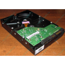 Жесткий диск 500Gb WD WD5000AAKX HP 634605-003 613208-001 7.2k SATA (Ступино)