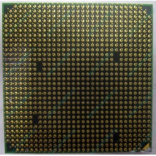 Процессор AMD Athlon 64300+ (1.8GHz) ADA3000IAA4CN s.AM2 (Ступино)