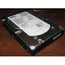 Жесткий диск 300Gb 15k Dell 9CH066-050 6G SAS (Seagate Cheetach ST3300656SS 15K.6) - Ступино